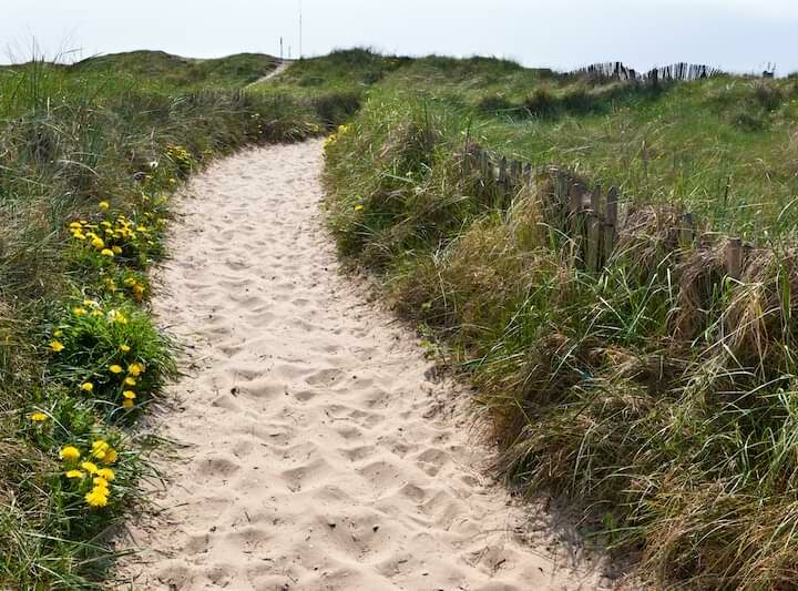 Daily Devotional – December 24, 2022