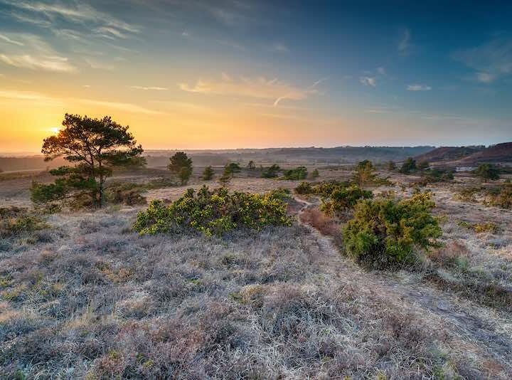 Daily Devotional – January 10, 2023