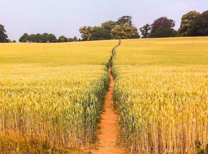 Daily Devotional – July 21, 2023